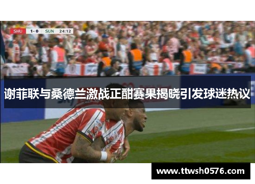 谢菲联与桑德兰激战正酣赛果揭晓引发球迷热议