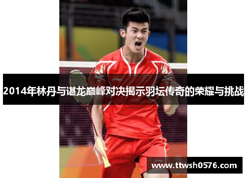 2014年林丹与谌龙巅峰对决揭示羽坛传奇的荣耀与挑战