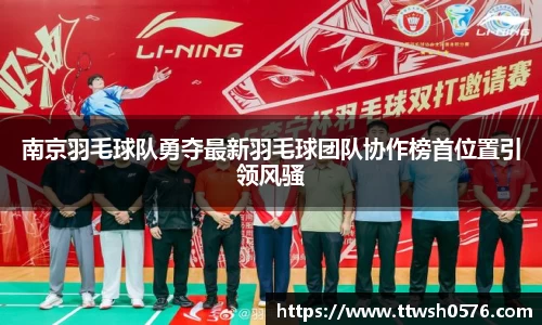 南京羽毛球队勇夺最新羽毛球团队协作榜首位置引领风骚