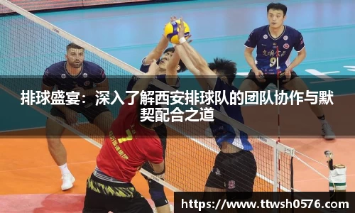 排球盛宴：深入了解西安排球队的团队协作与默契配合之道